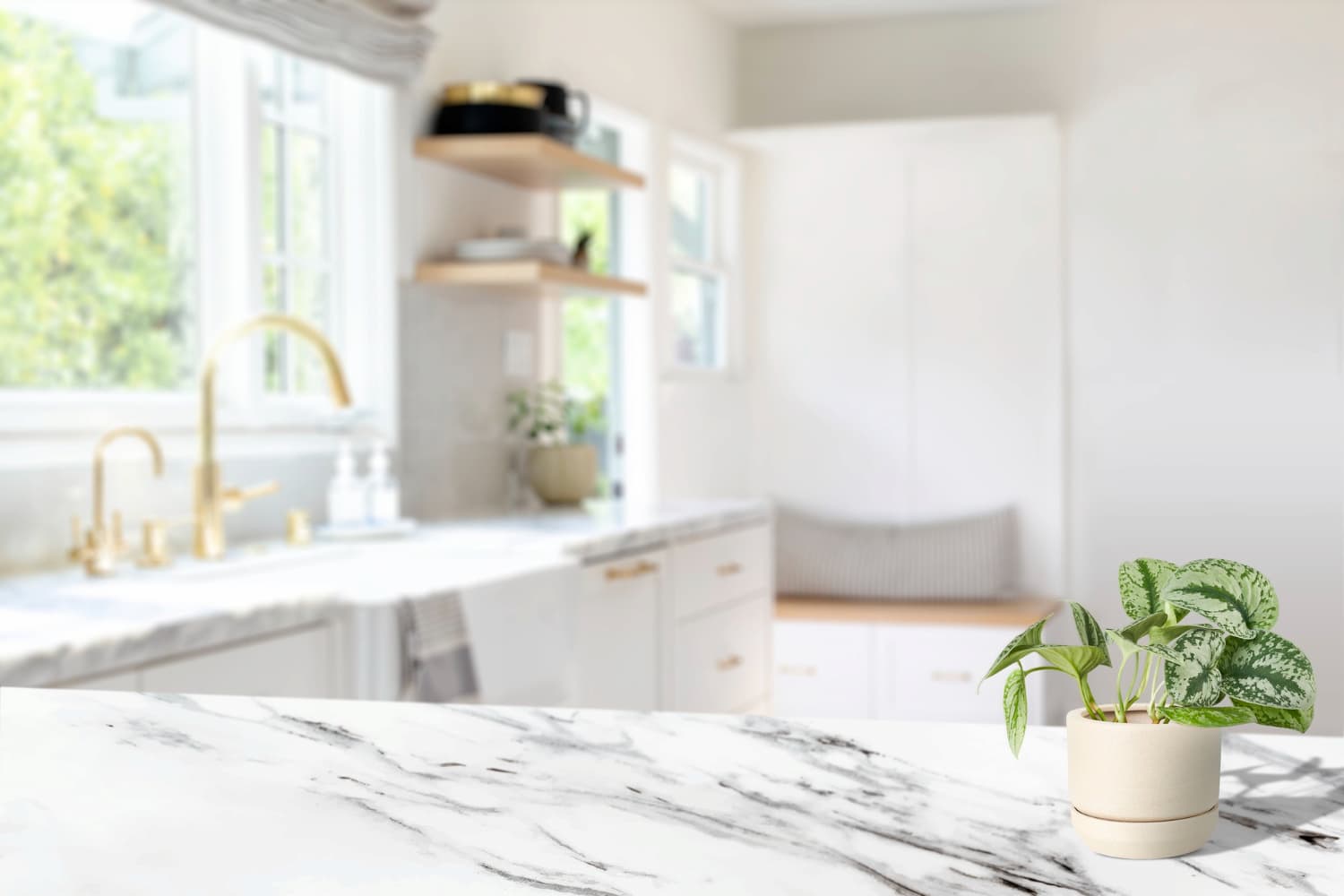 Modern kitchen with white marble counters, gold fixtures, and potted plant.