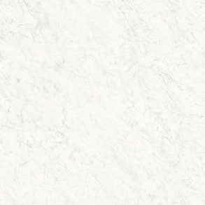 Carrara White Polished